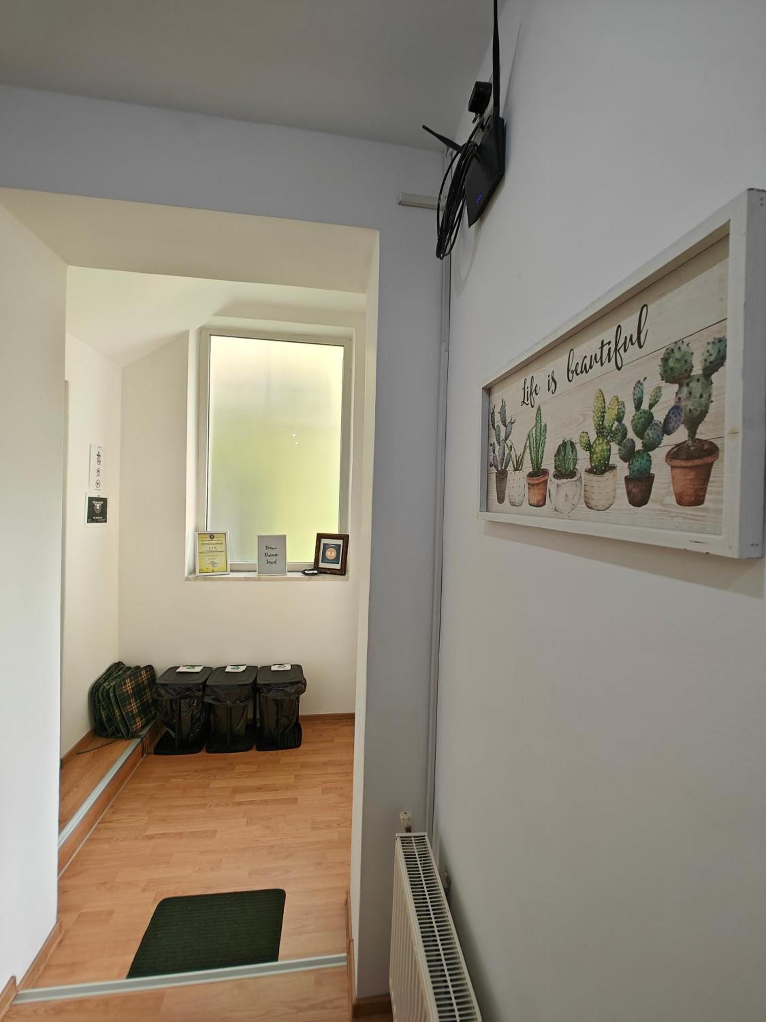 Transsylvanian Wolves Apartment Sibiu Eksteriør billede