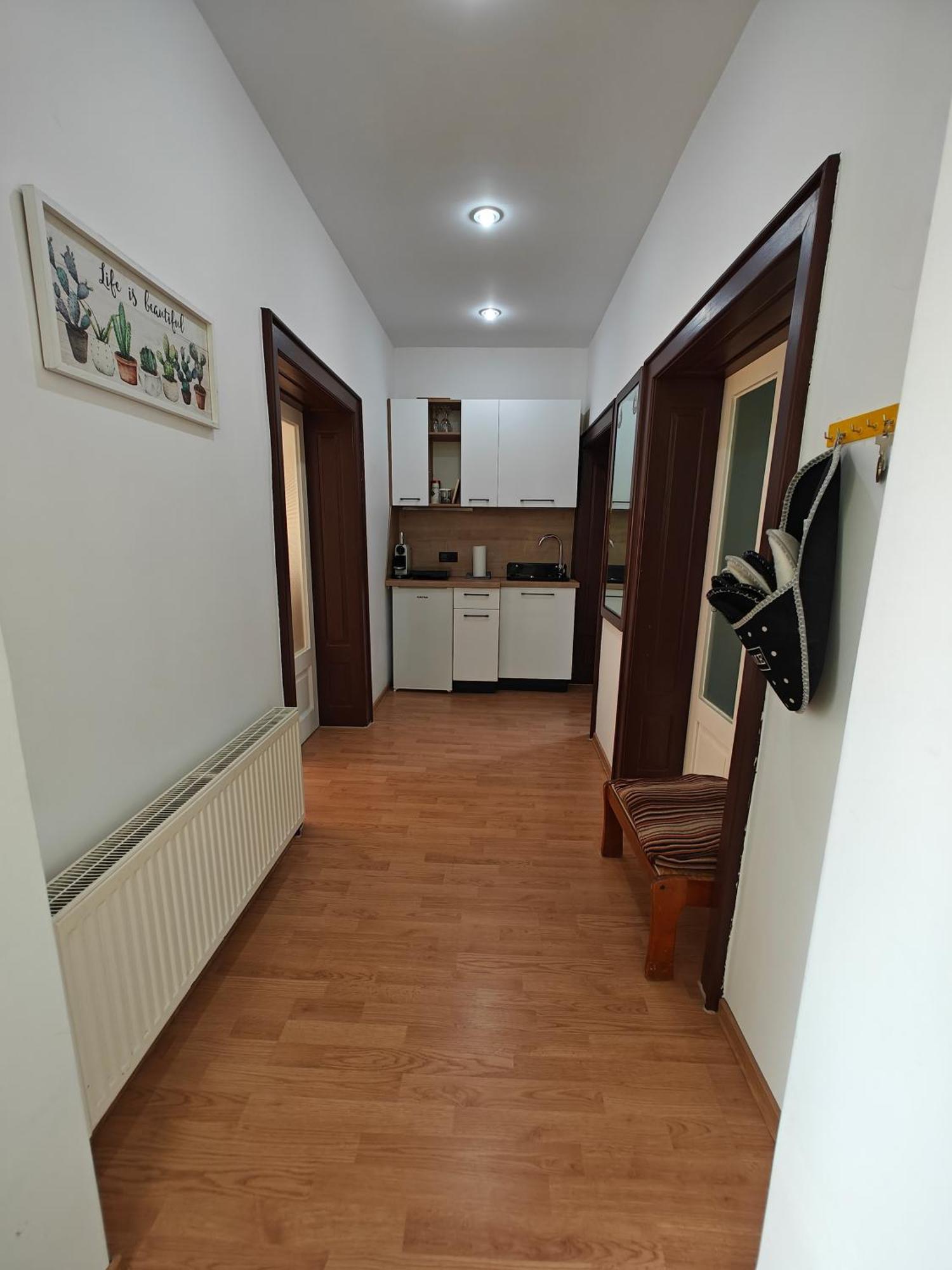Transsylvanian Wolves Apartment Sibiu Eksteriør billede